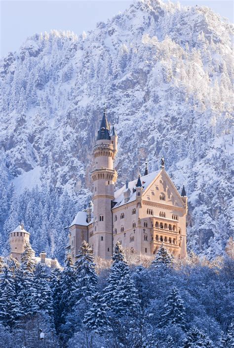 neuschwanstein castle reviews